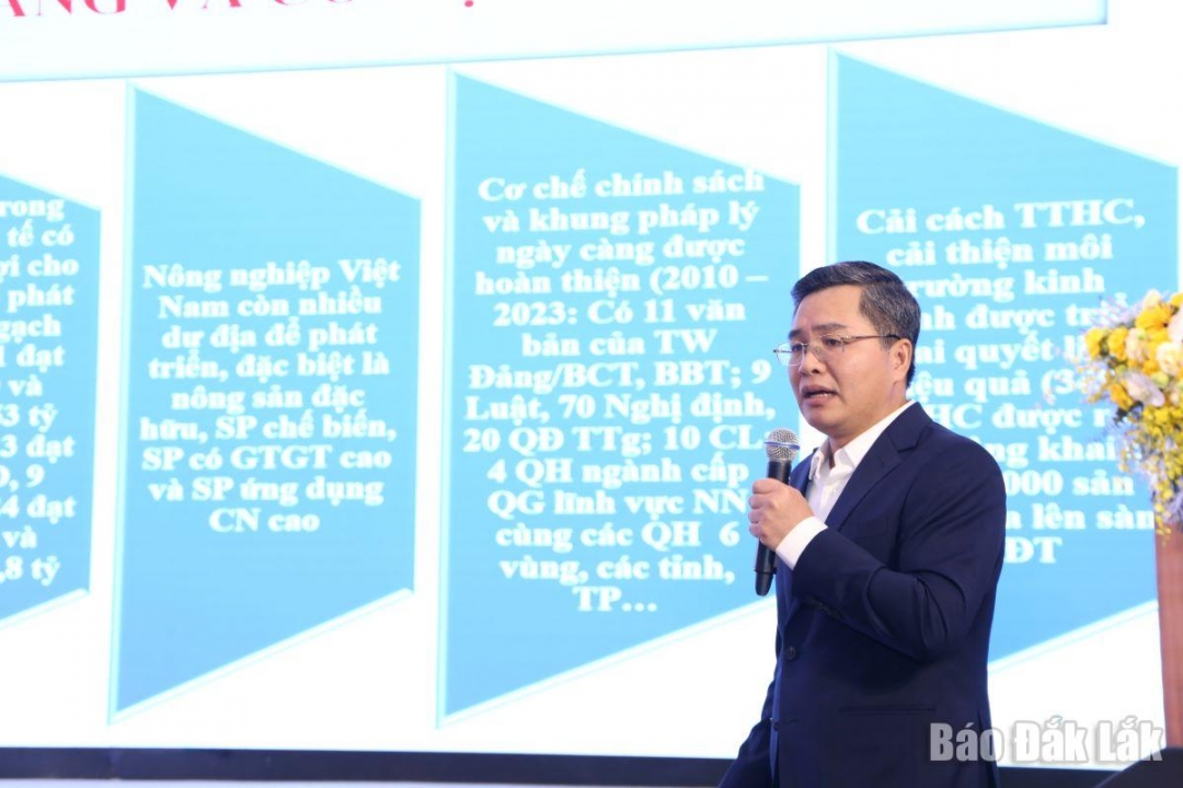 Vùng Tây Nguyên 3